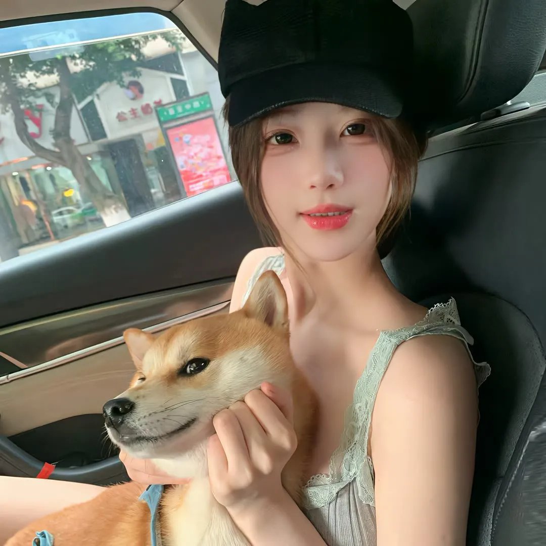 双龙会粤语